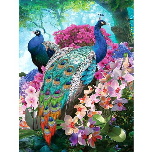 Puzzle Senior 300 Piezas Grandes XXL SunsOut 42374 BONITO PAVO REAL