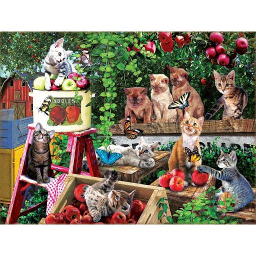 Puzzle Senior de Gatos y Gatitos 500 Piezas Grandes SunsOut 42284 LA COSECHA DE MANZANAS [0]