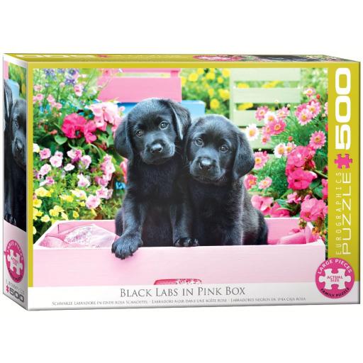 Puzzle Senior de Perros y Perritos 500 Piezas Grandes XXL Eurographics 6500-5462 LABRADORES NEGROS EN UNA CAJA ROSA [1]