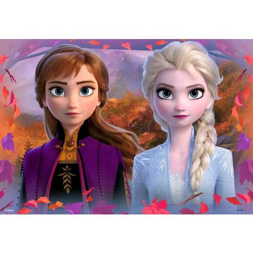 Puzzle Infantil Disney FROZEN II 2 x 12 Piezas Ravensburger 05009 Viaje a lo desconocido [2]