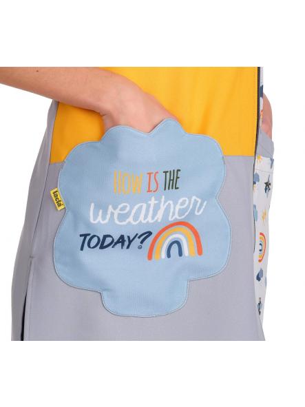 Pichi maestra nube [2]