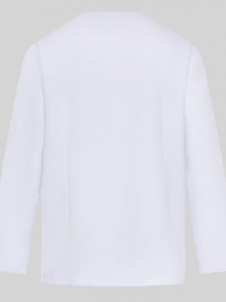 Blusa de Microfibra Néstor M/L [4]