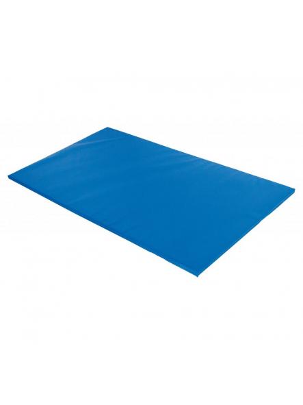 Colchoneta Escolar Azul con Velcro  [0]