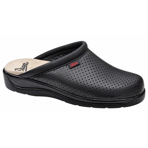 Zueco de piel pisa