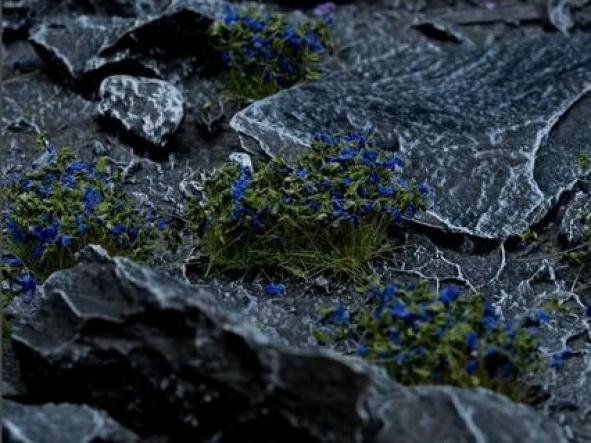 Blue Flowers [1]