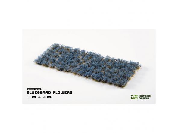 Bluebeard Flowers [1]