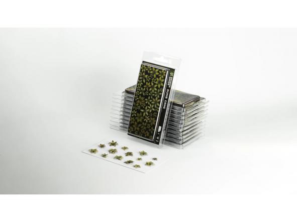 Laser Plants Dumb Cane