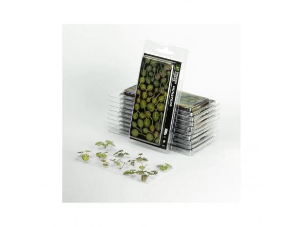 Laser Plants Monstera