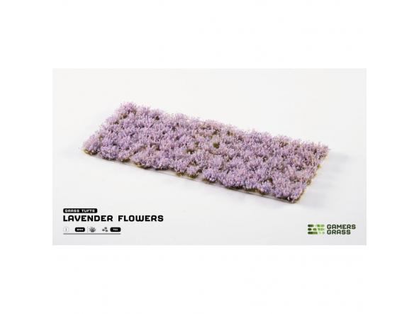 Lavender Flowers [1]