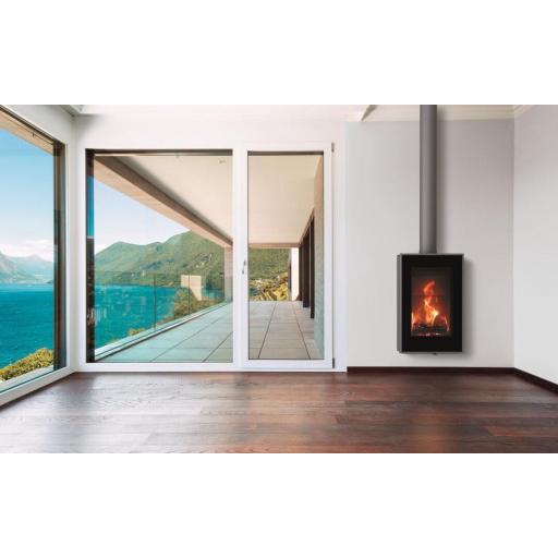 VISION SUSPENDIDA [0]