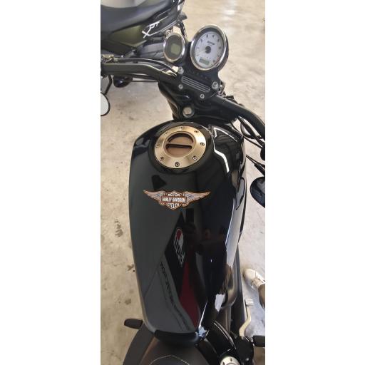 Harley Davidson XR1200 [2]