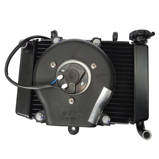 RADIADOR VOGE 300R / 300 DS [1]