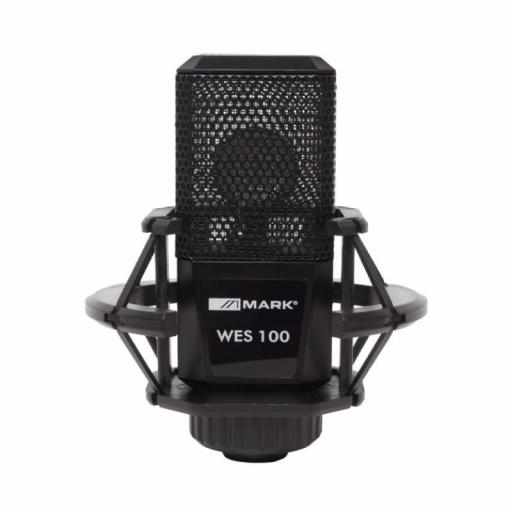 Mark Wes 100 Micrófono de Condensador
