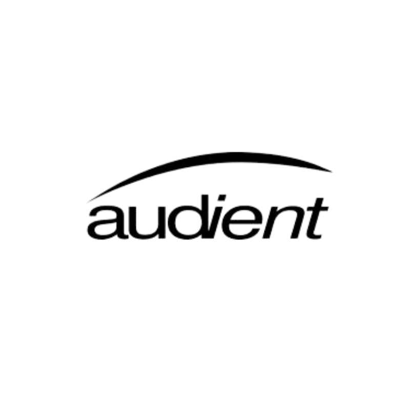 AUDIENT