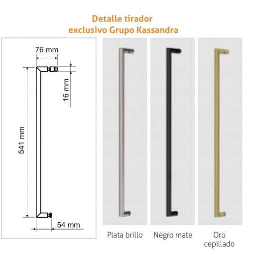 PAVIA AI102 mampara corredera 8 mm altura 200 cm [2]