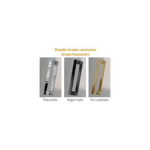 Mampara ducha plegable + lateral fijo en oro cepillado, negro y plata brillo [2]