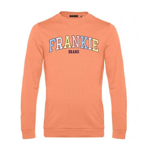 Sudadera de hombre Frankie colors brand [0]