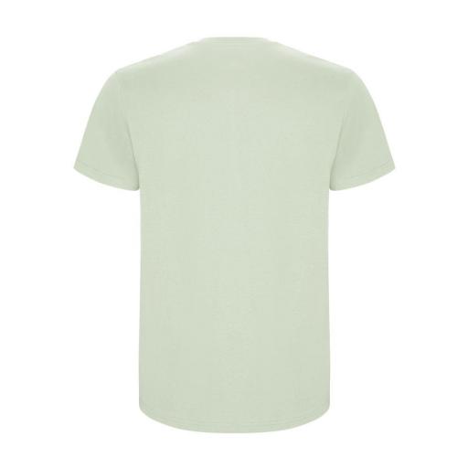 Camiseta de hombre print méxico [1]