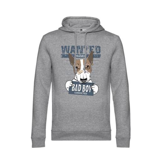 Sudadera capucha Bad Boy 