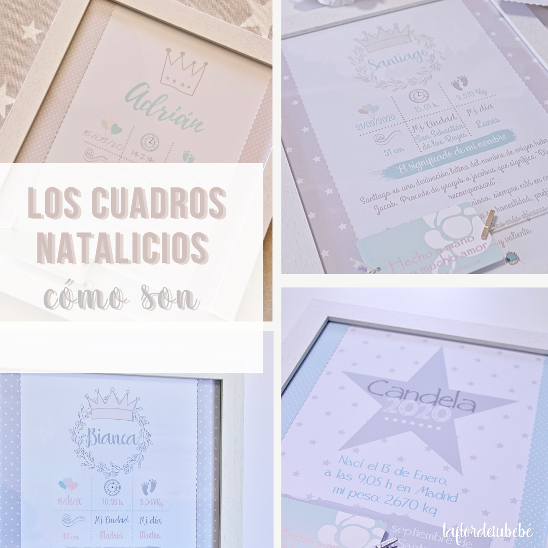 CUADRICULA YOUTUBE (6).png