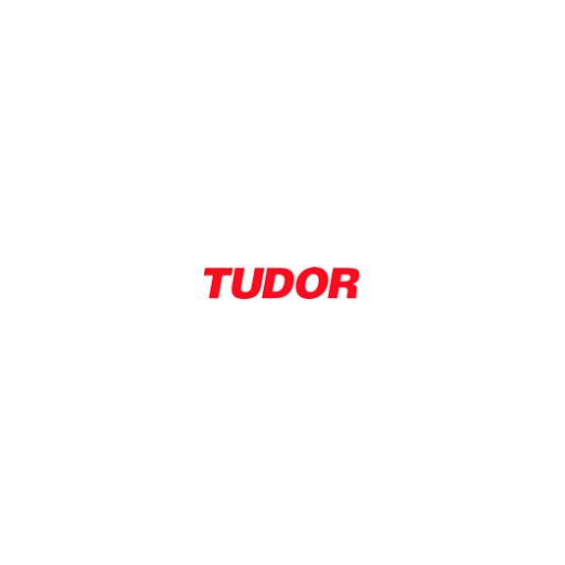 Logo de TUDOR