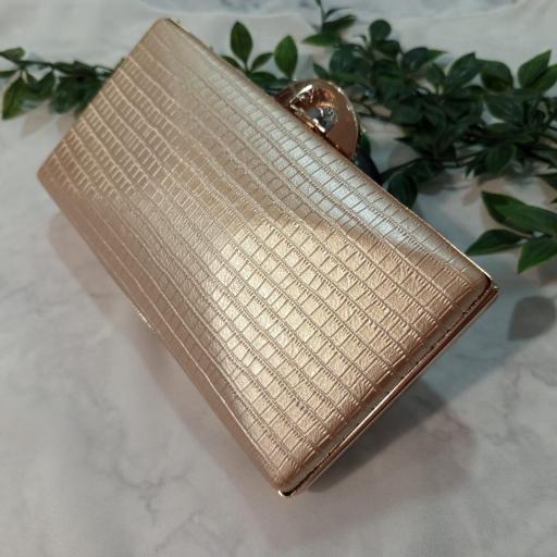 Cartera Clutch Cazorla [1]