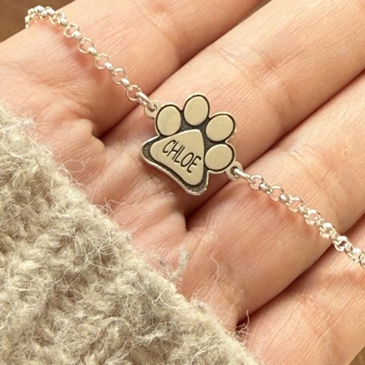 Pulsera Mascota Plata