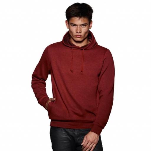 Sudadera B&C DNM UNIVERSE Dark Heather Red