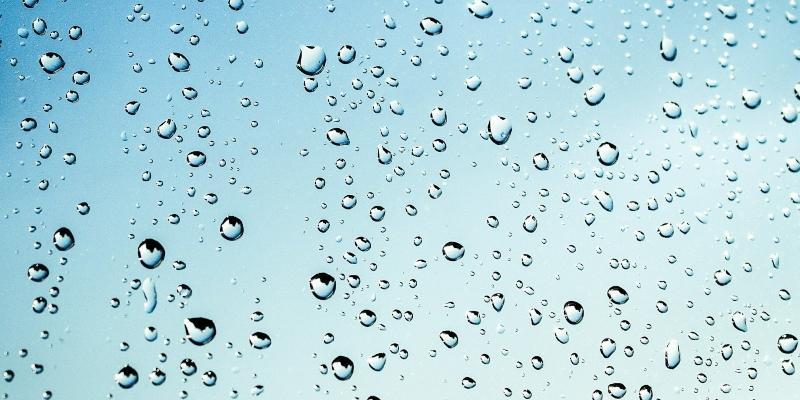 ÁCIDOS GRASOS ESENCIALES Y OMEGAS