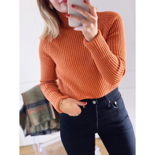 Jersey Donna (Ref. 1789)