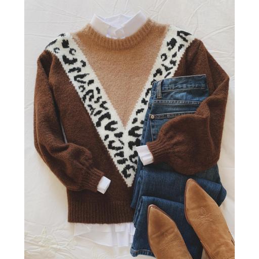 Jersey Brown Leo (Ref.3136)