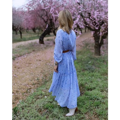 The Blue Dress (Ref.5423) [1]