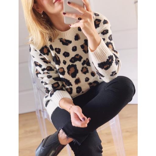 Jersey Michelle (Ref. 1771) [1]