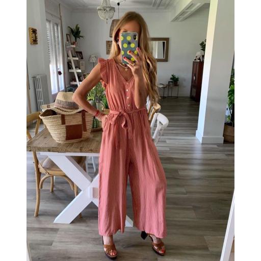 Mono Rayas (Ref. 2081)