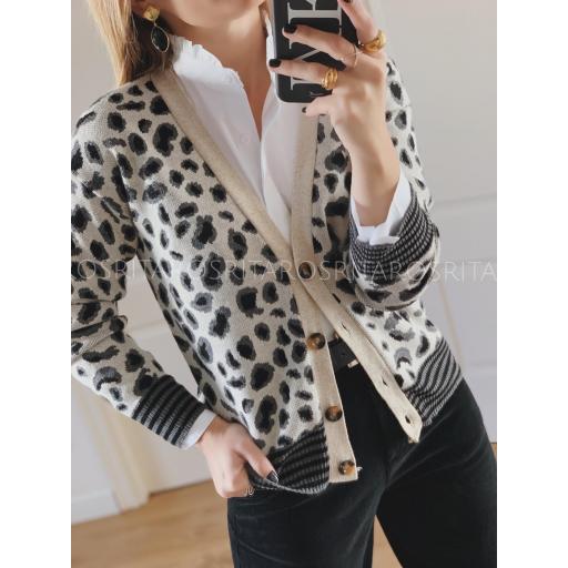 Chaqueta Leo & Stripes (Ref. 2985) [2]