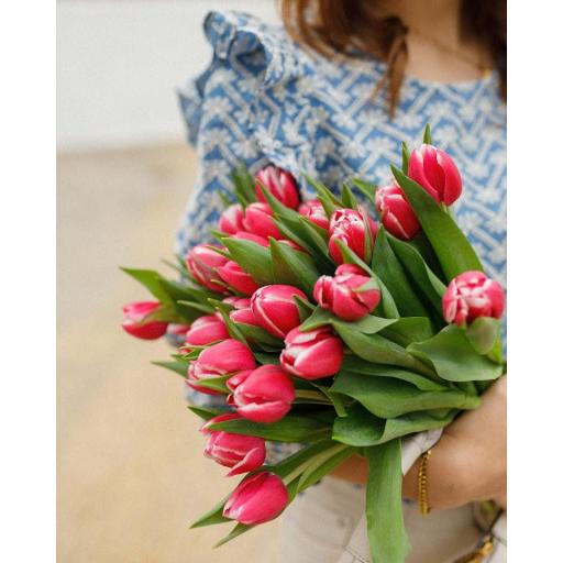 Blusa Kara (Ref. 6102) [1]