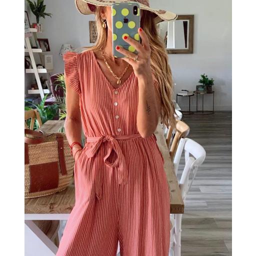 Mono Rayas (Ref. 2081) [2]