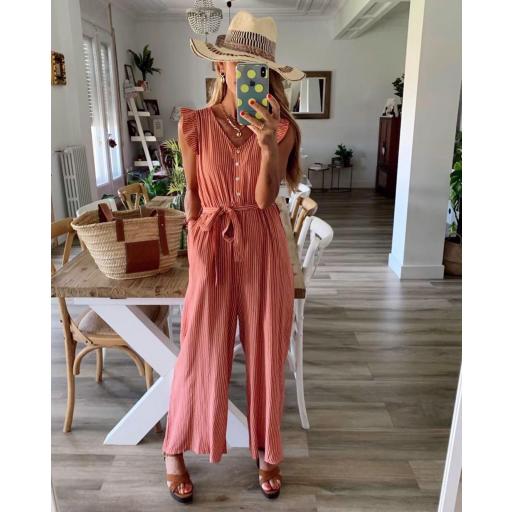 Mono Rayas (Ref. 2081) [1]