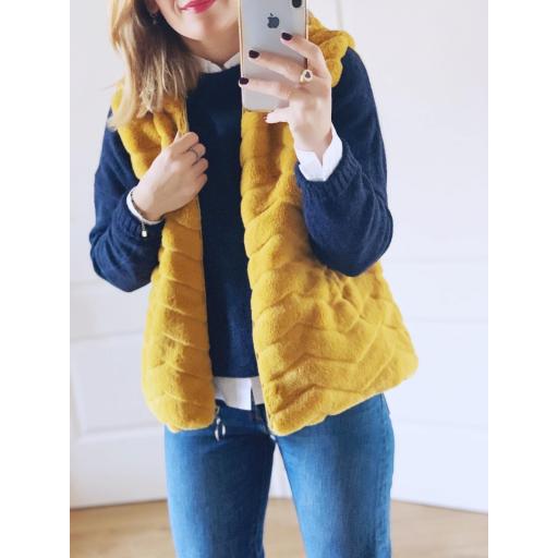 Jersey Alas (Ref. 1894) [2]