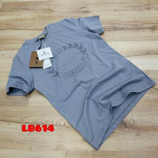 Camiseta BRB gris / logo bordado pecho