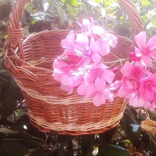 Cesta Pequeña Oval de Mimbre [2]