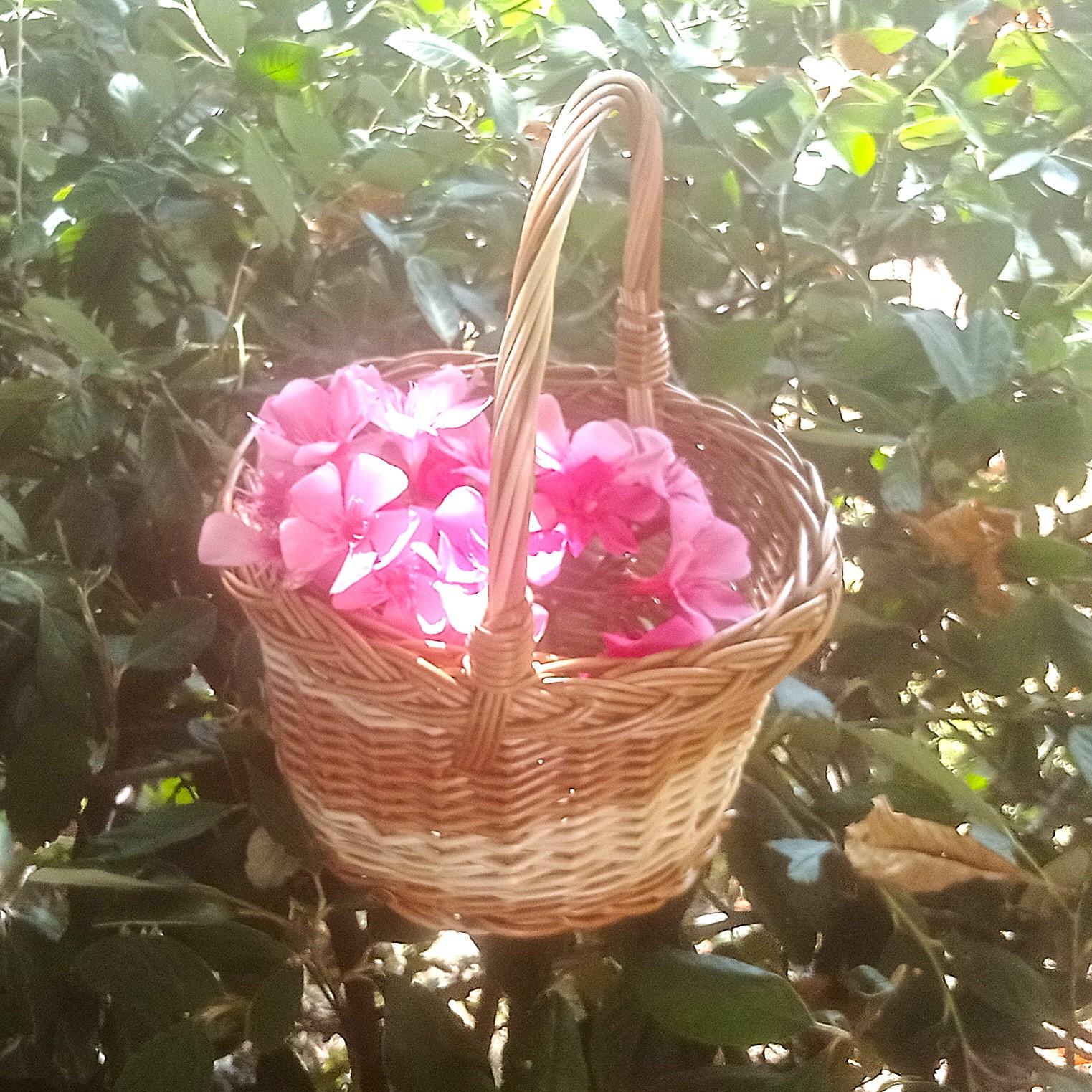Cesta Pequeña Redonda de Mimbre