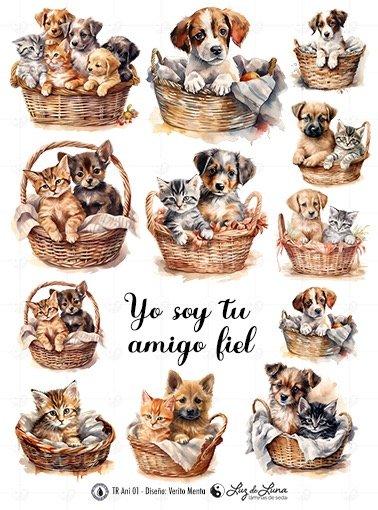 TRANSFER DTF ANIMALES
