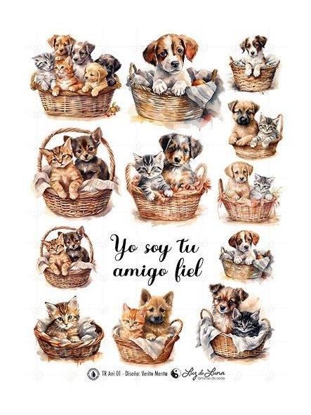 TRANSFER DTF ANIMALES