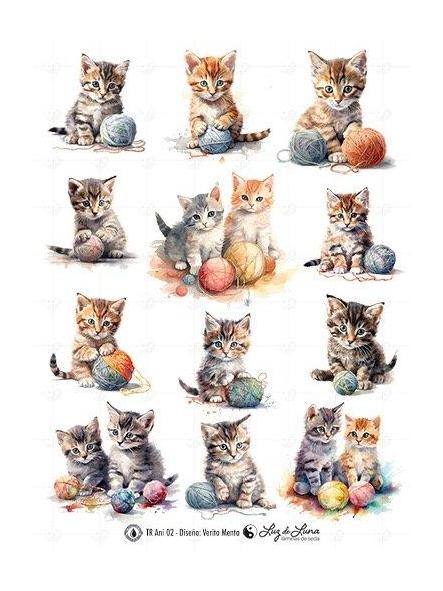 TRANSFER DTF ANIMALES