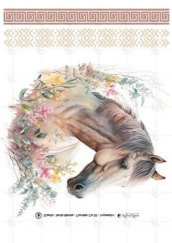 TRANSFER DTF ANIMALES