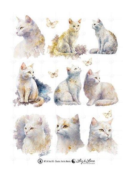 TRANSFER DTF ANIMALES [0]