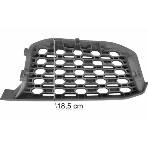 REJILLA ESTRIBO IZQDO. DAF 2021 [2]