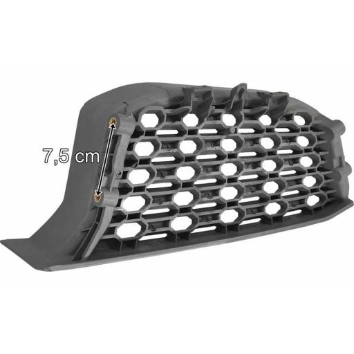 REJILLA ESTRIBO IZQDO. DAF 2021 [3]