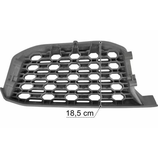 REJILLA ESTRIBO DCHO. DAF 2021 [2]